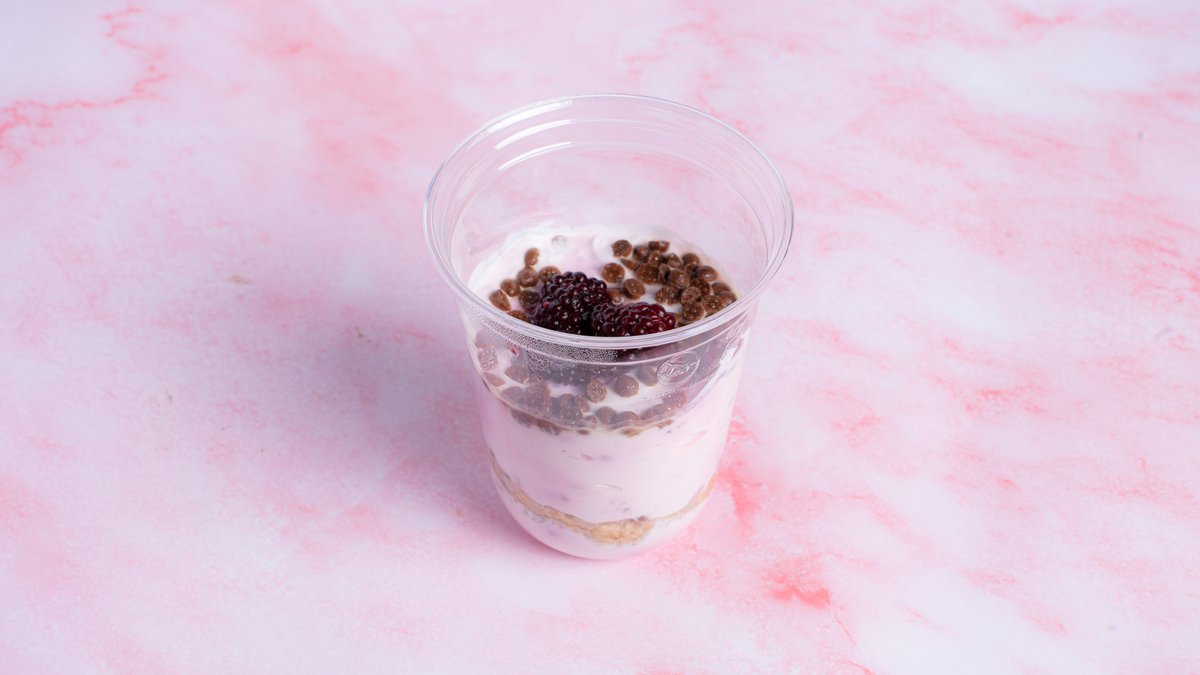 Yogurt Bowl Choco Rasberry